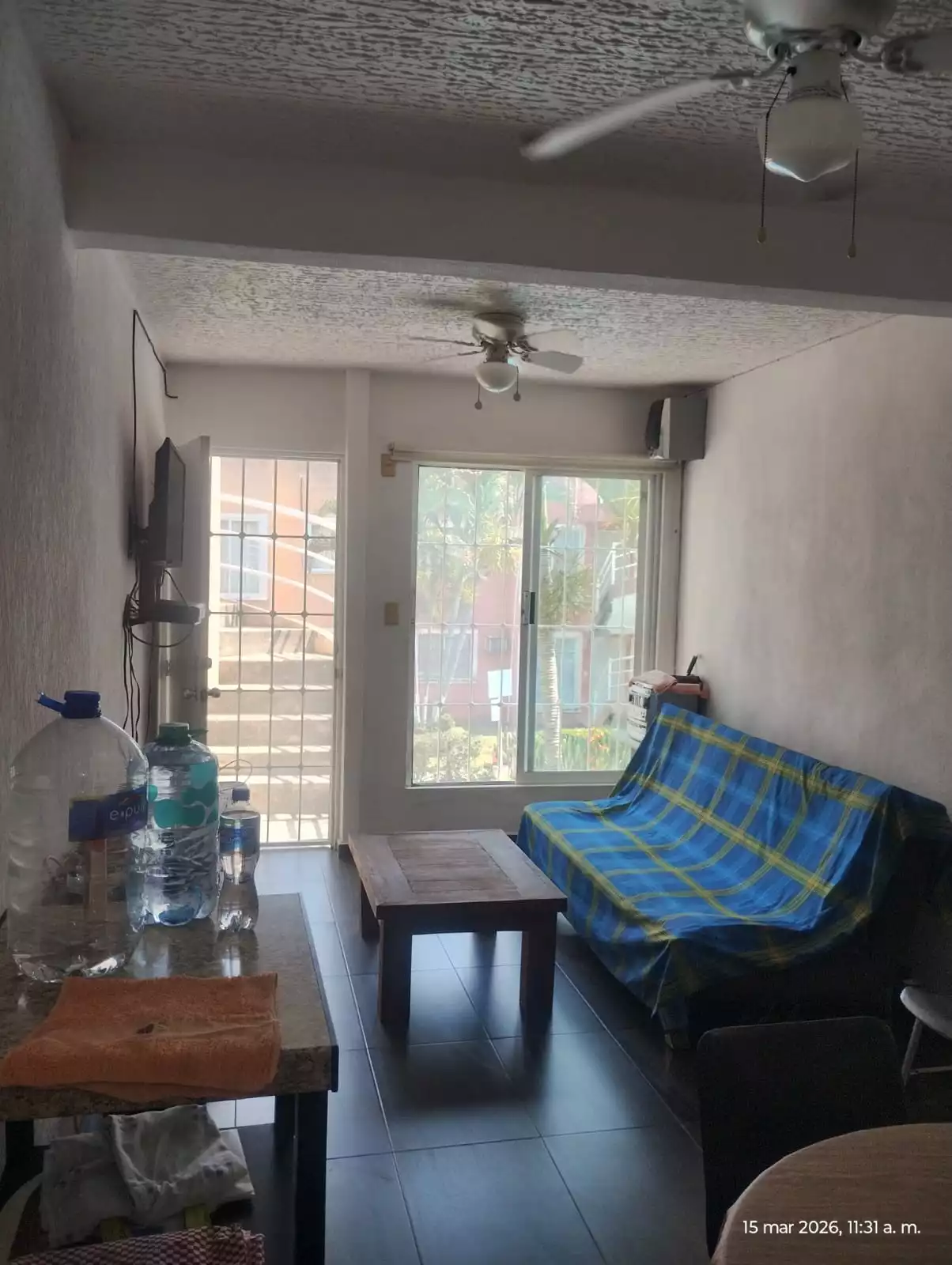 Departamento morrocoy lobo